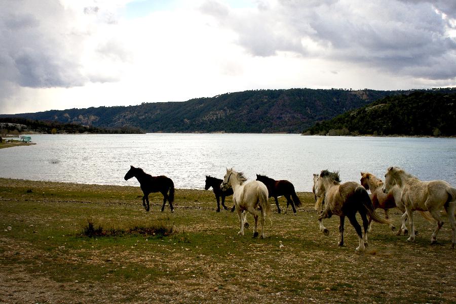 Randonne questre Var PNR du Verdon photo 2