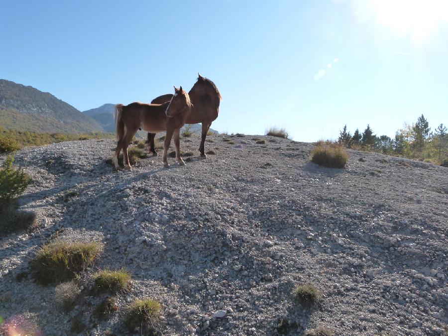 sejour Var PNR du Verdon photo 3