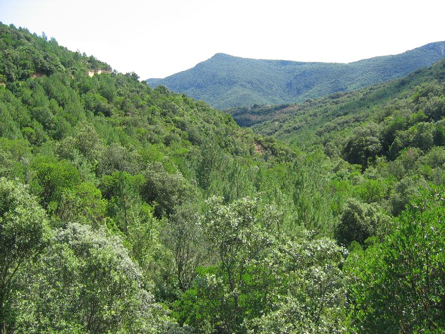 Randonne questre   photo 5