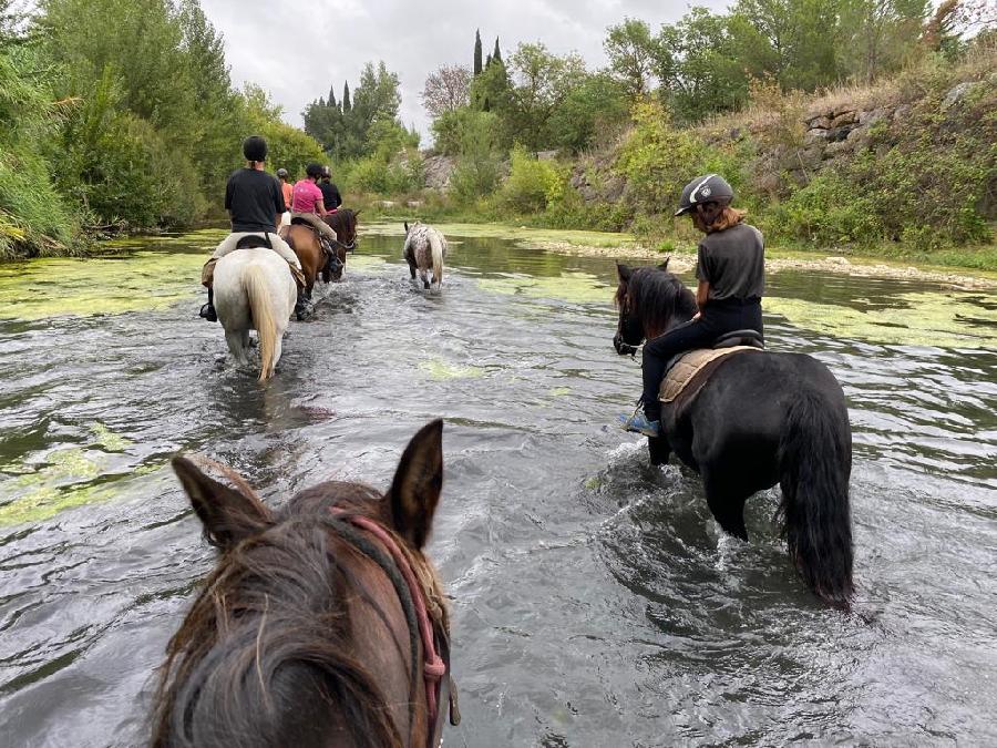 Balade  cheval   photo 3