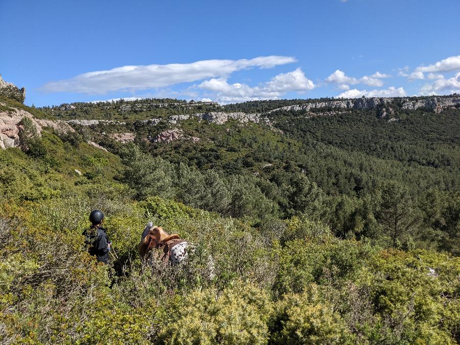 Balade  cheval Aude Corbires photo 6