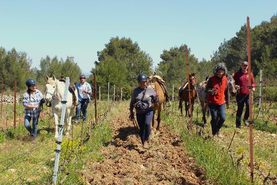 Balade  cheval Aude Corbires photo 2