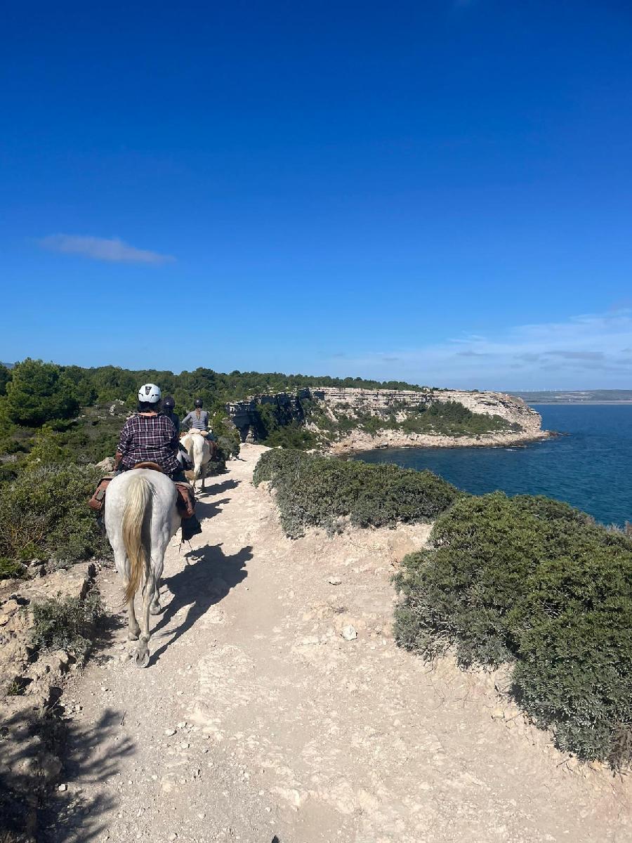 rando Balade  cheval Aude