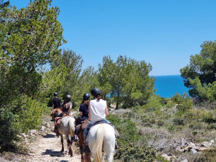 Balade  cheval   photo 3