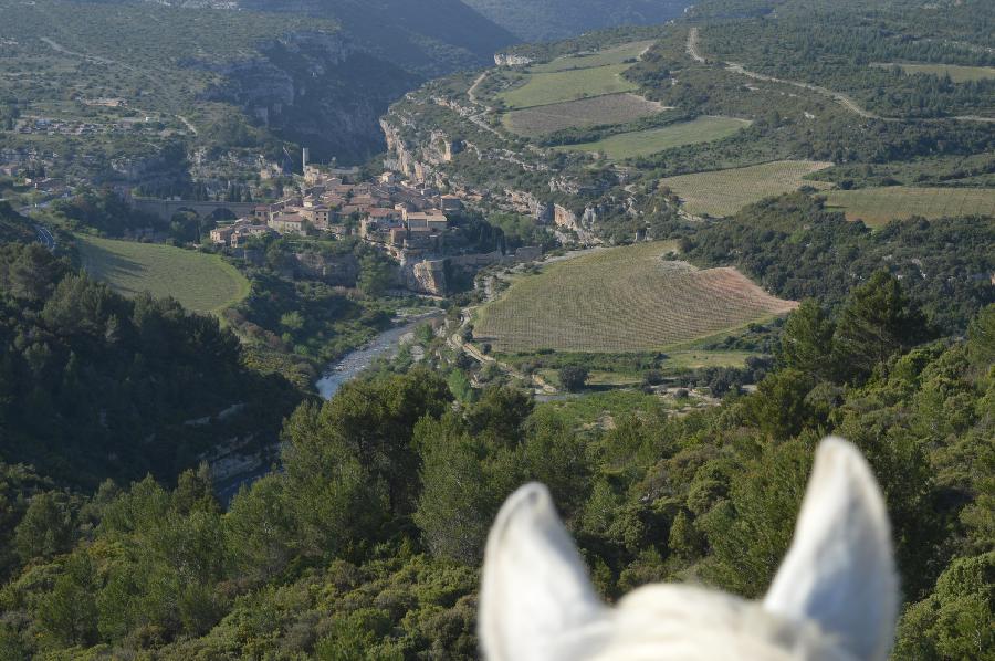 Randonne questre   photo 4