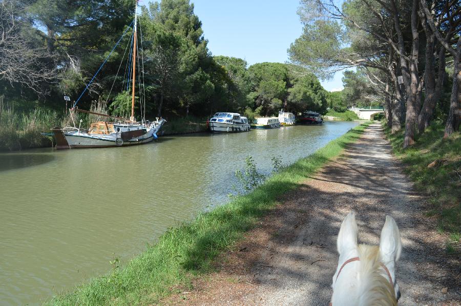 Randonne questre   photo 5