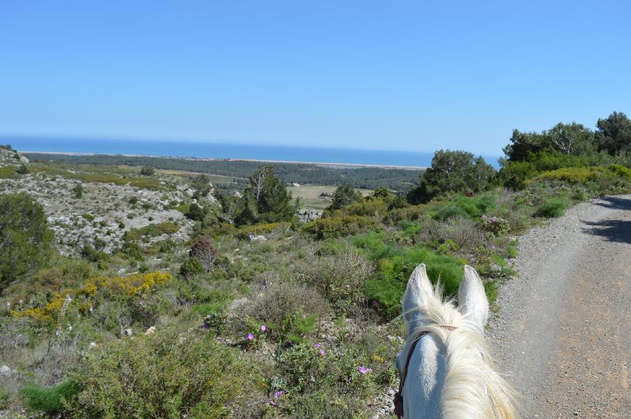 Randonne questre   photo 6