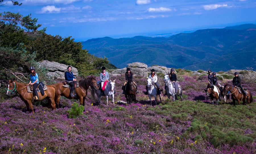 sejour Tarn Languedoc photo 2
