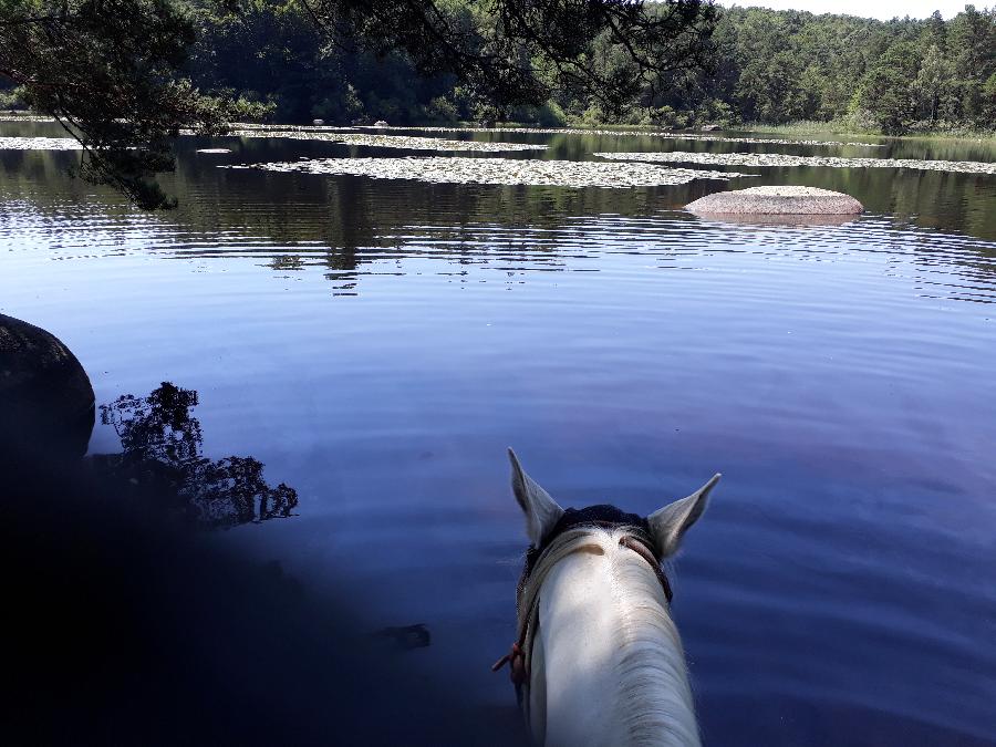 Randonne questre   photo 2