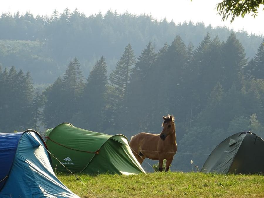 Randonne questre   photo 5