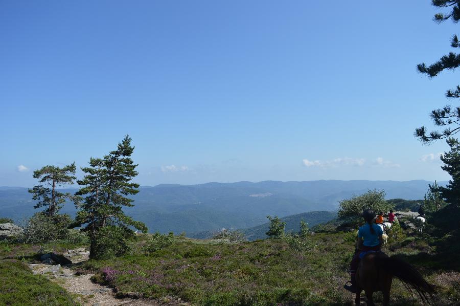 Randonne questre Tarn PNR du Haut-Languedoc photo 6