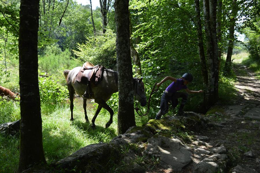 Stage quitation Tarn PNR du Haut-Languedoc photo 5