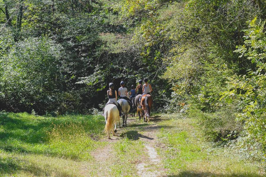 Sjour questre Tarn PNR du Haut-Languedoc