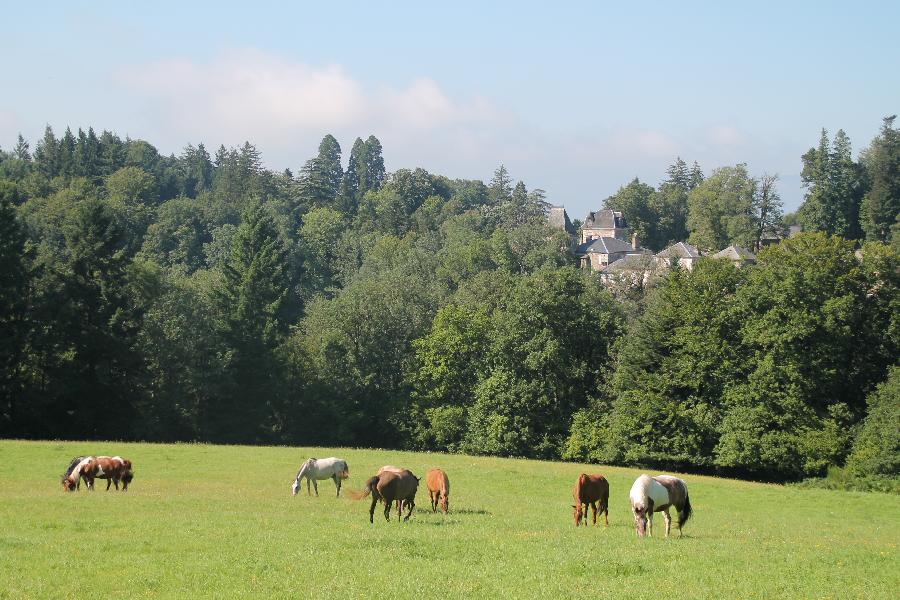 sejour Tarn PNR du Haut-Languedoc photo 6