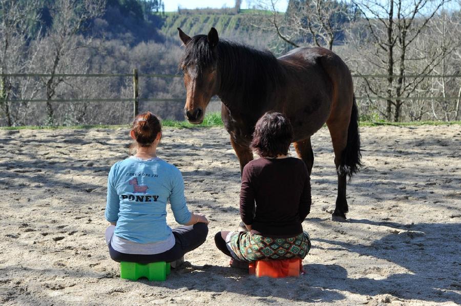 Stage quitation   photo 2