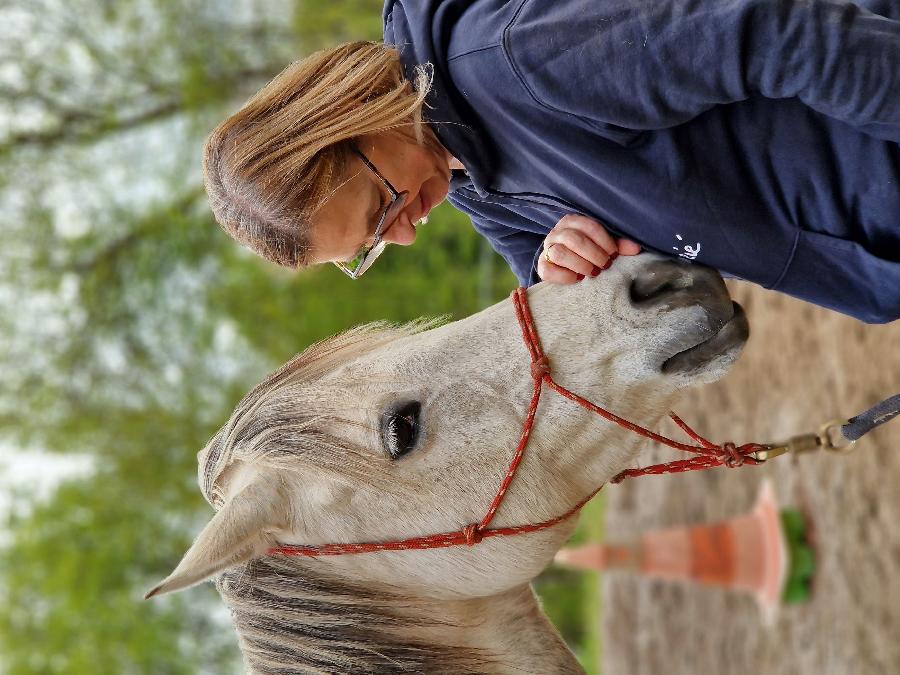 S�jour �questre   photo 5