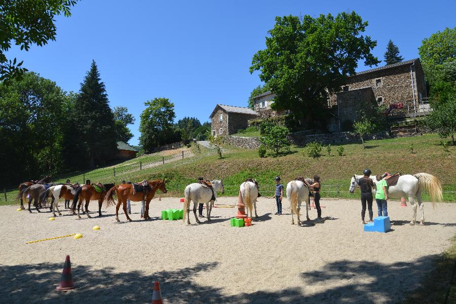 sejour Sjour  la ferme questre Tarn