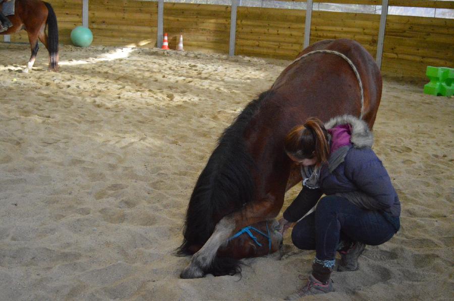 Randonne questre   photo 3