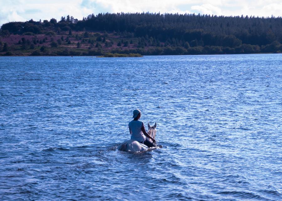 Randonne questre Tarn PNR du Haut-Languedoc photo 6