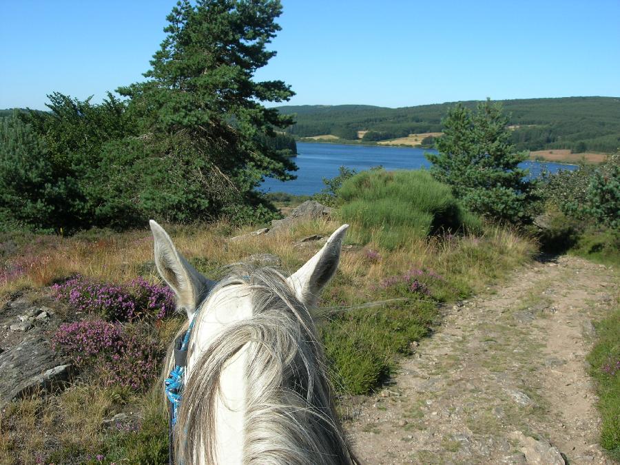 Randonne questre Tarn Languedoc