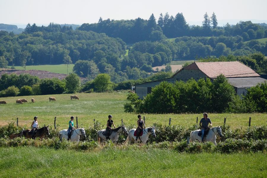 Randonne questre Corrze Xaintrie, Sud Limousin photo 4