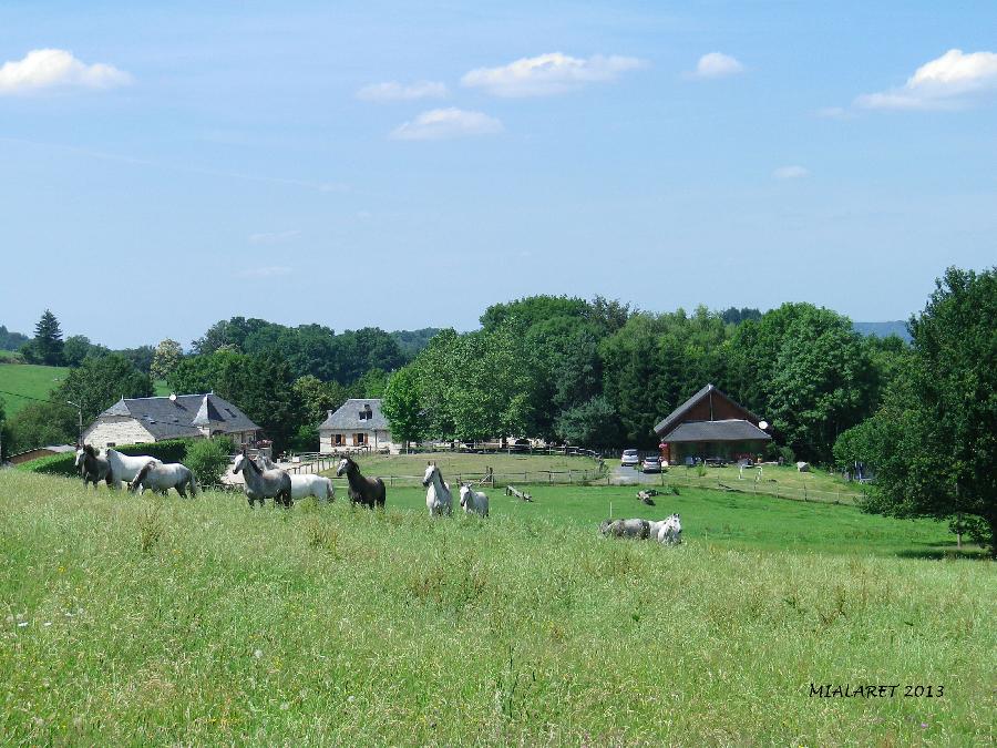 Randonne questre Corrze 