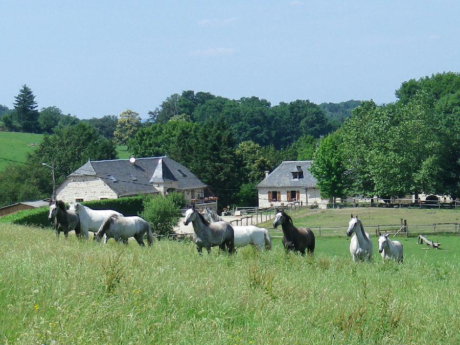 Randonne questre Corrze 