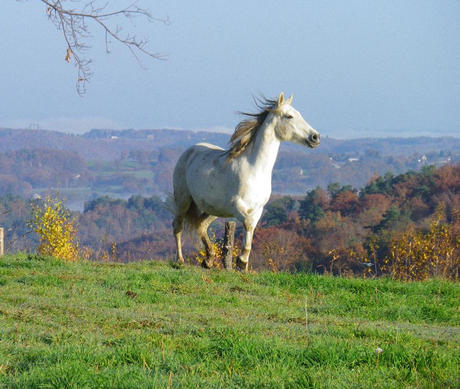 Randonne questre Corrze  photo 3