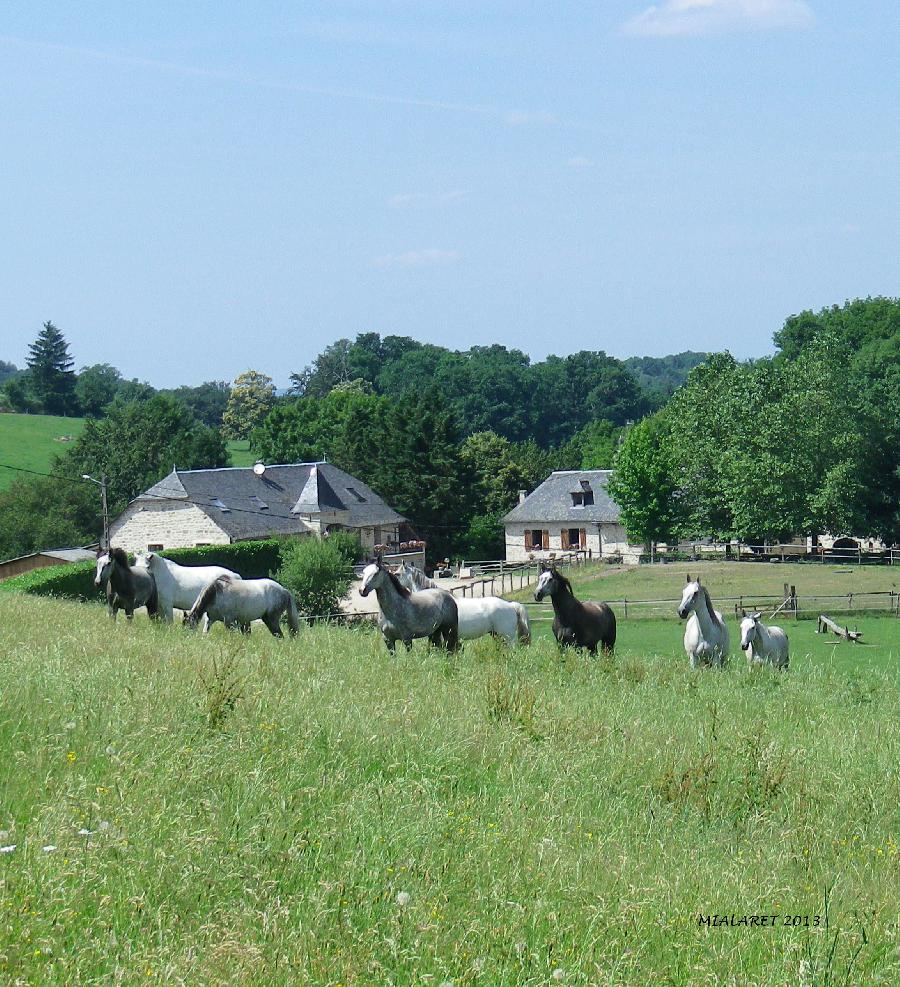 rando Balade  cheval Corrze