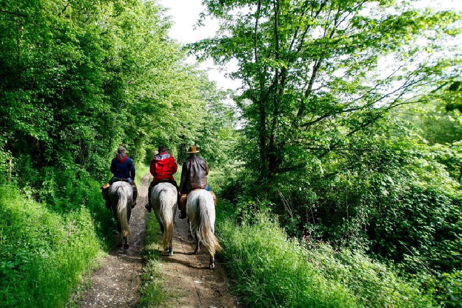 Balade  cheval Corrze  photo 2