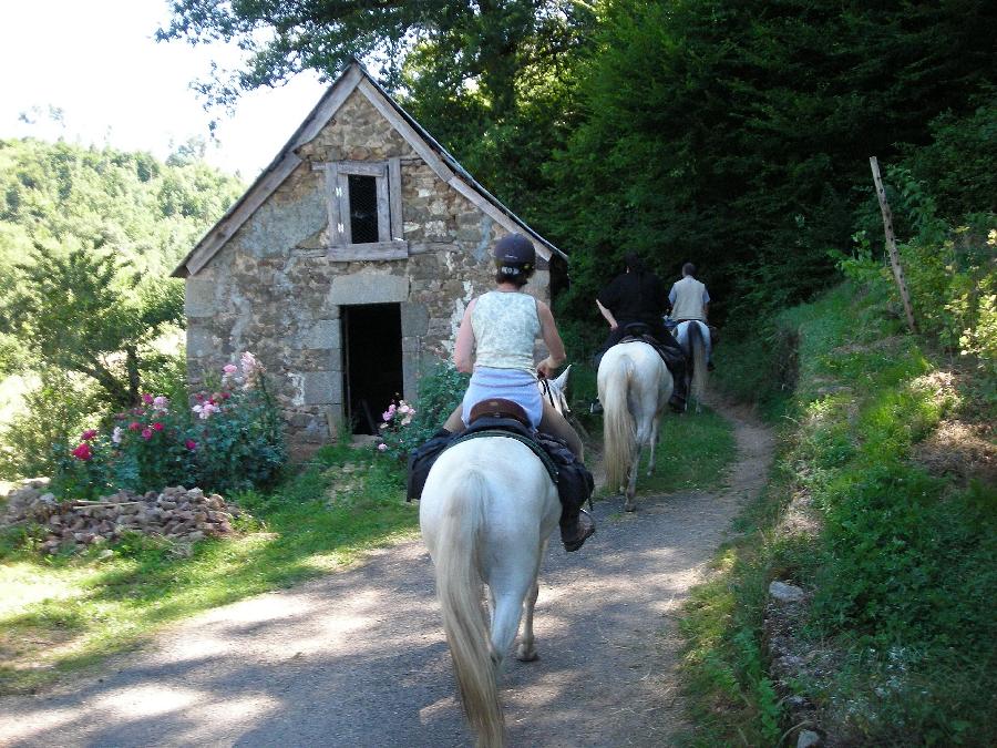 Balade  cheval Corrze  photo 3