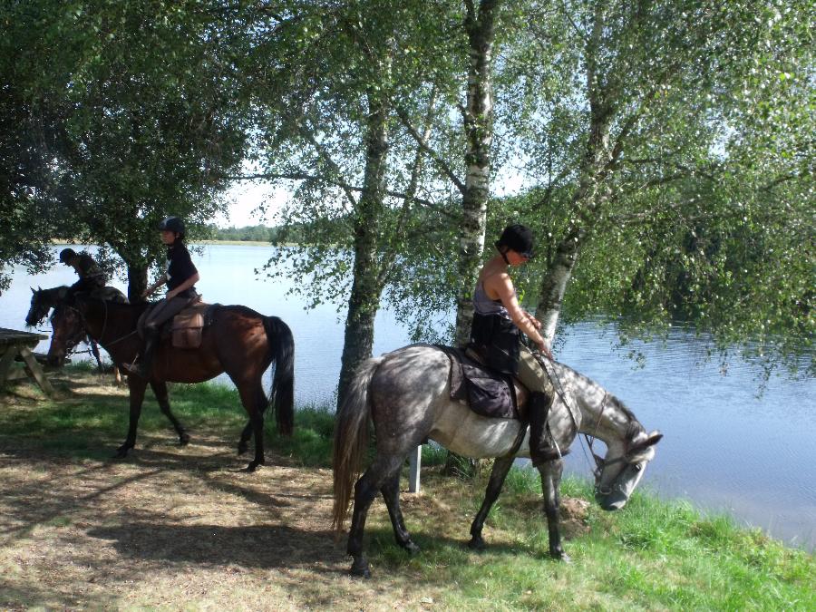 randonnee cheval correze