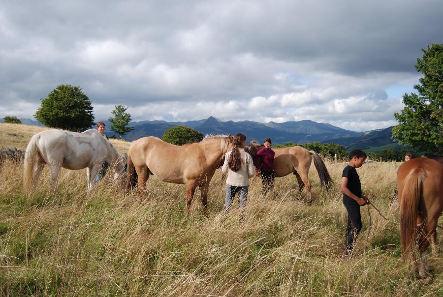 Randonne questre Cantal  photo 3