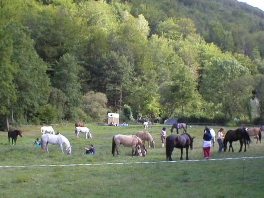 Randonne questre Cantal  photo 6