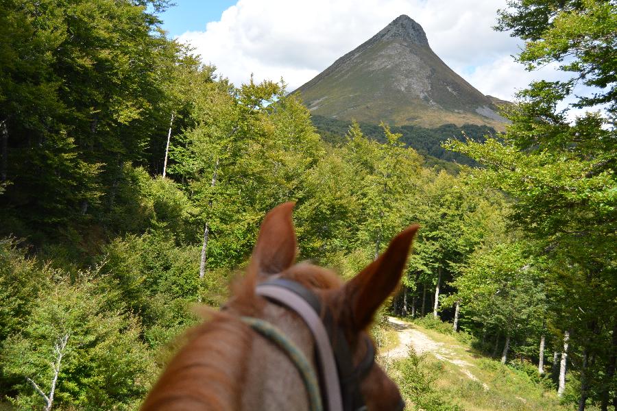 Sjour questre Cantal 