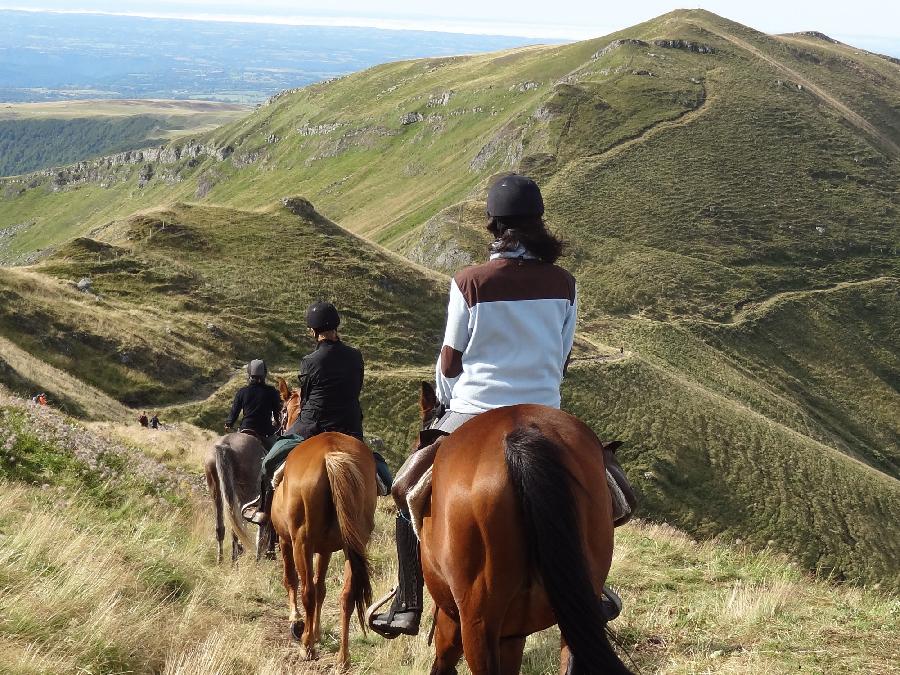 Randonne questre Cantal 