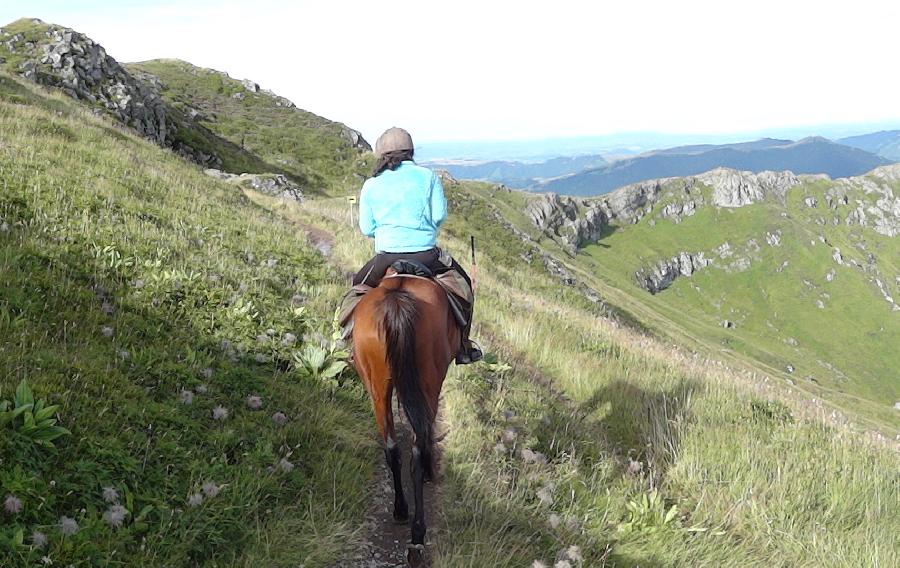 Randonne questre Cantal  photo 2