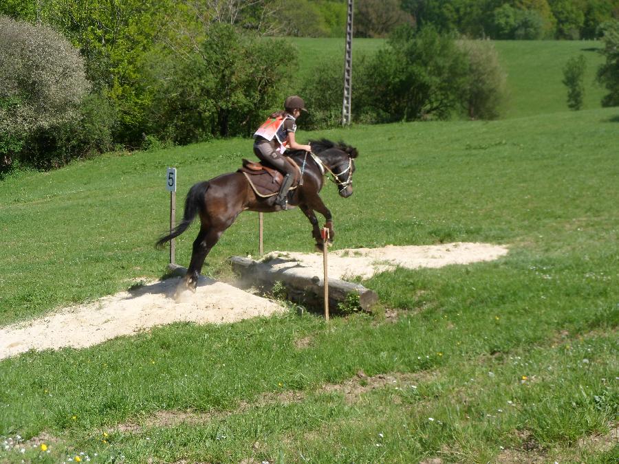 Sjour questre   photo 2