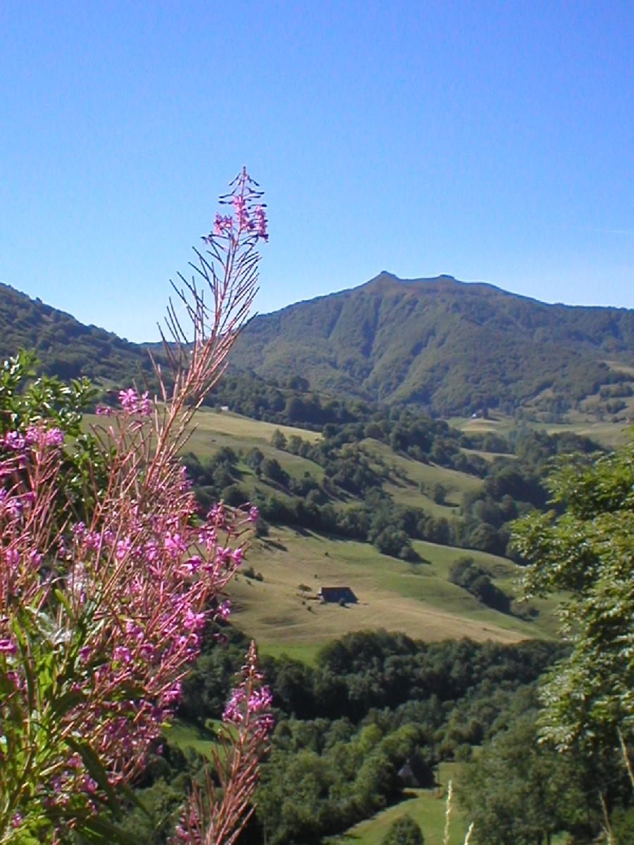 sejour Cantal Massif Central photo 2
