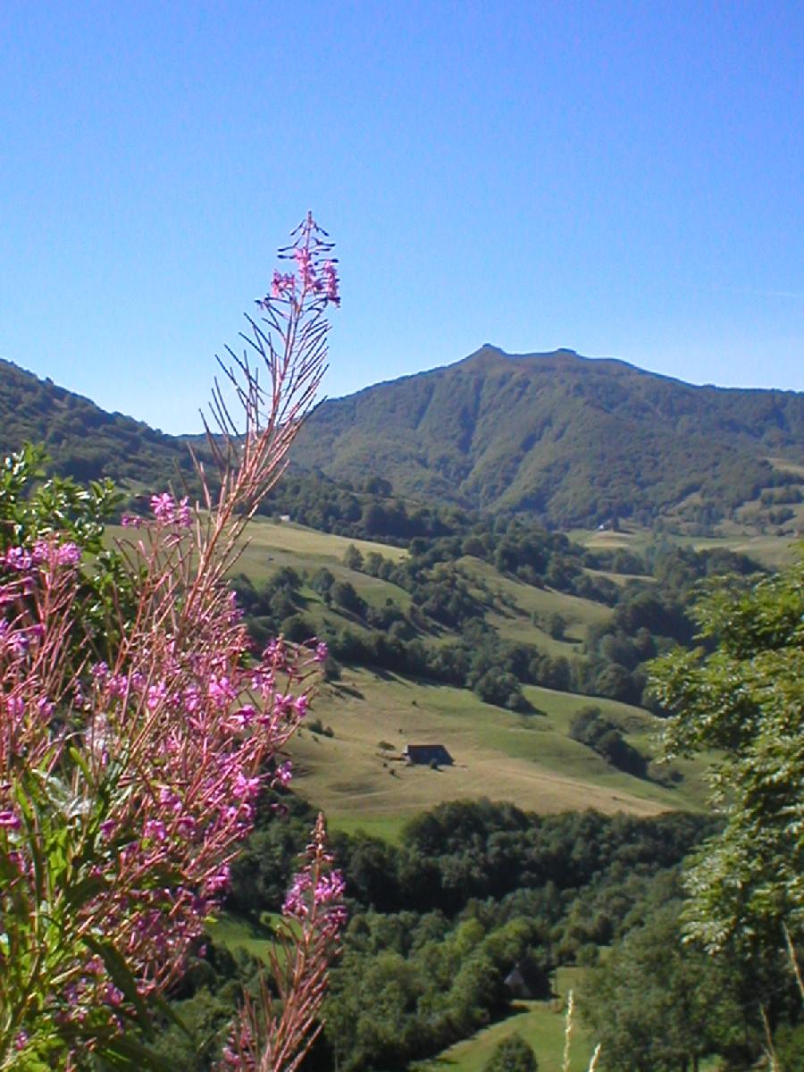 Randonne questre Cantal Massif Central photo 2