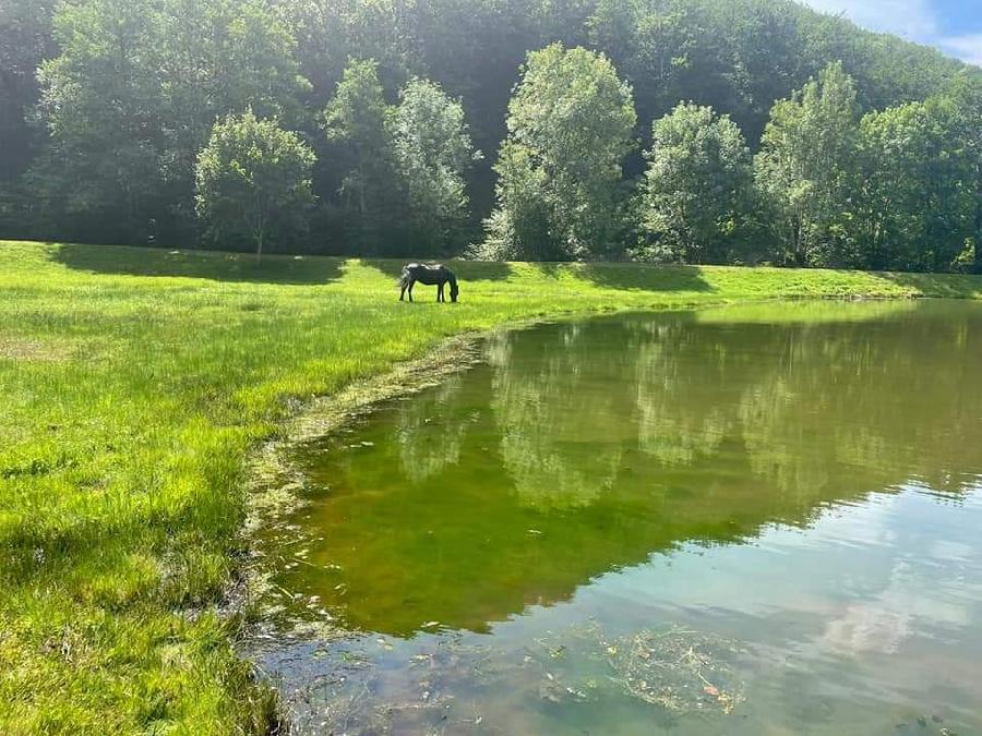 Randonne questre Cantal  photo 3