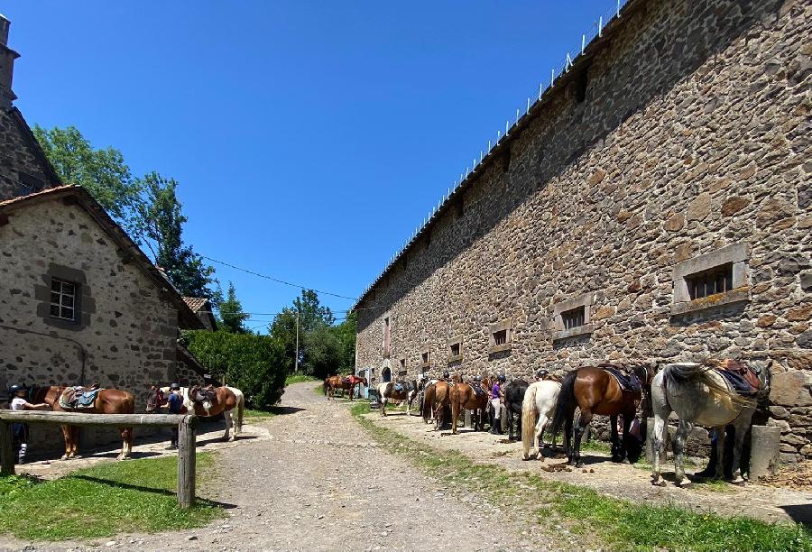 Sjour questre Cantal  photo 5