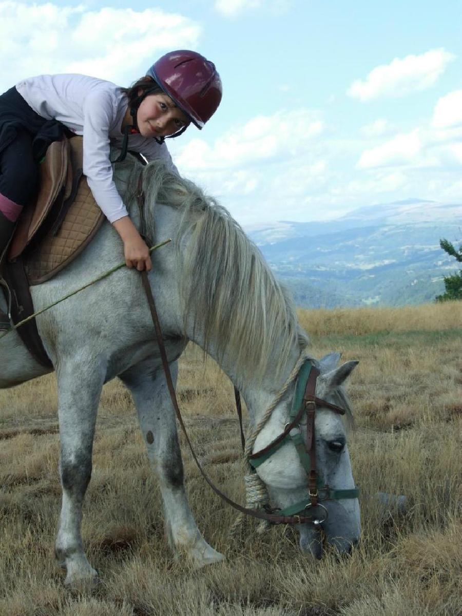 sejour Cantal Massif Central photo 2