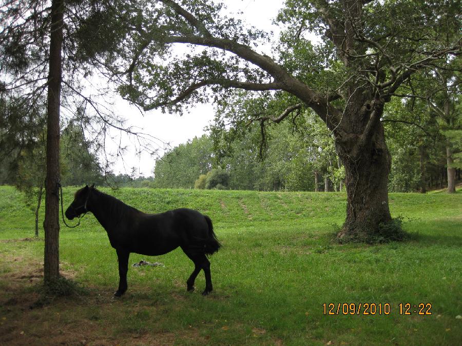 sejour Gers  photo 3