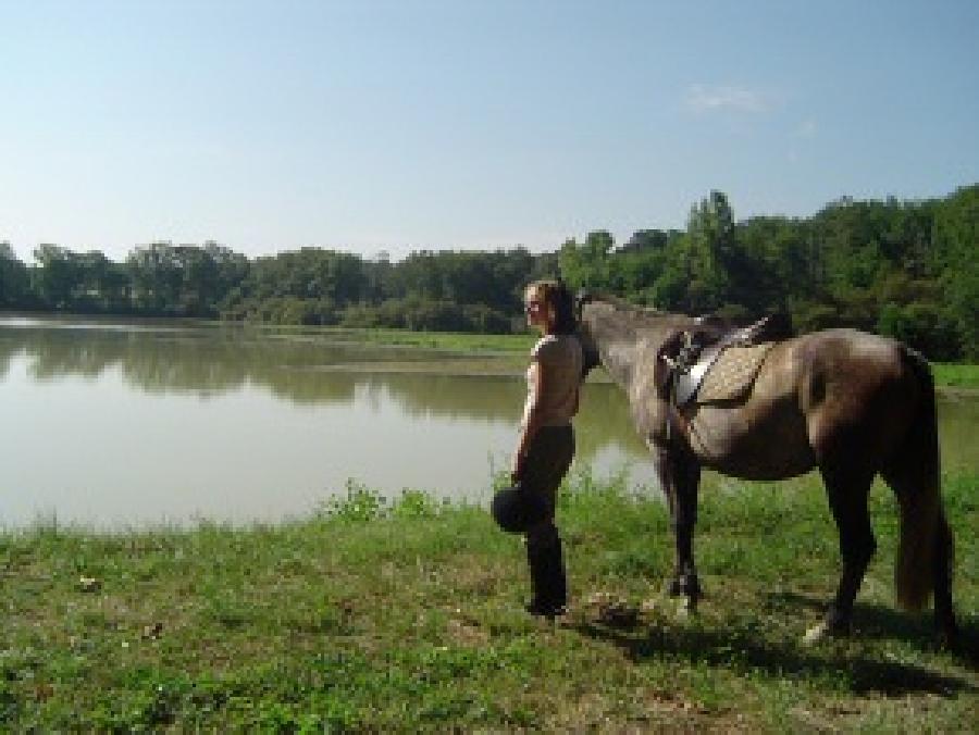 randonnee cheval debutant