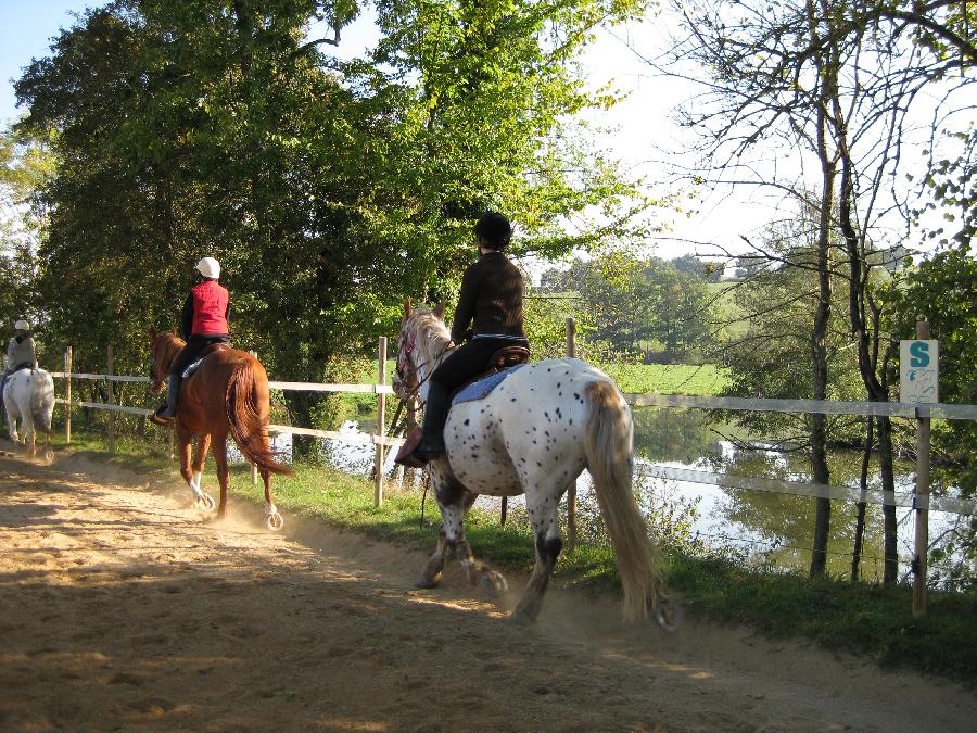 Sjour questre Sane-et-Loire Bourgogne du Sud photo 2