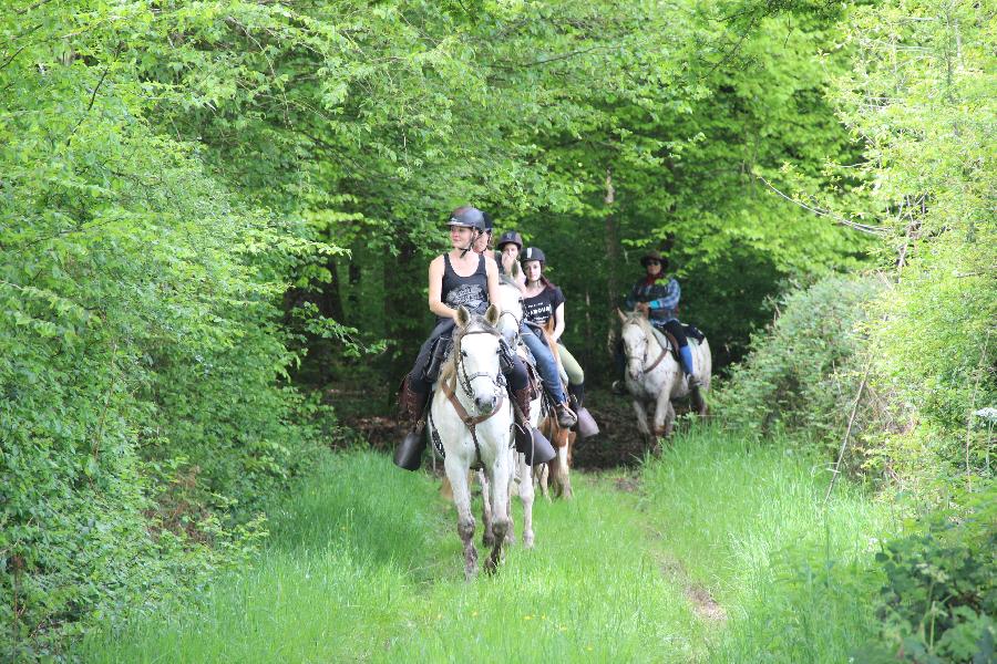 sejour Sane-et-Loire Bourgogne du Sud photo 3