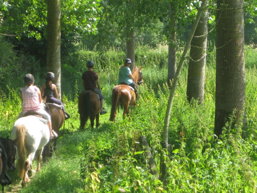 Sjour questre Sane-et-Loire Bourgogne du Sud photo 6