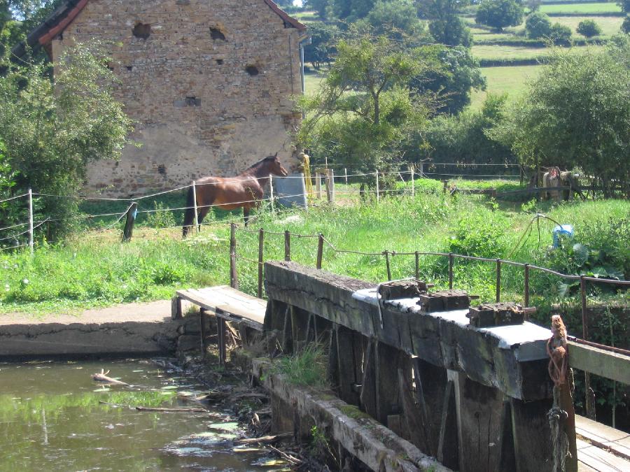 Randonne questre Sane-et-Loire Bourgogne du Sud photo 2