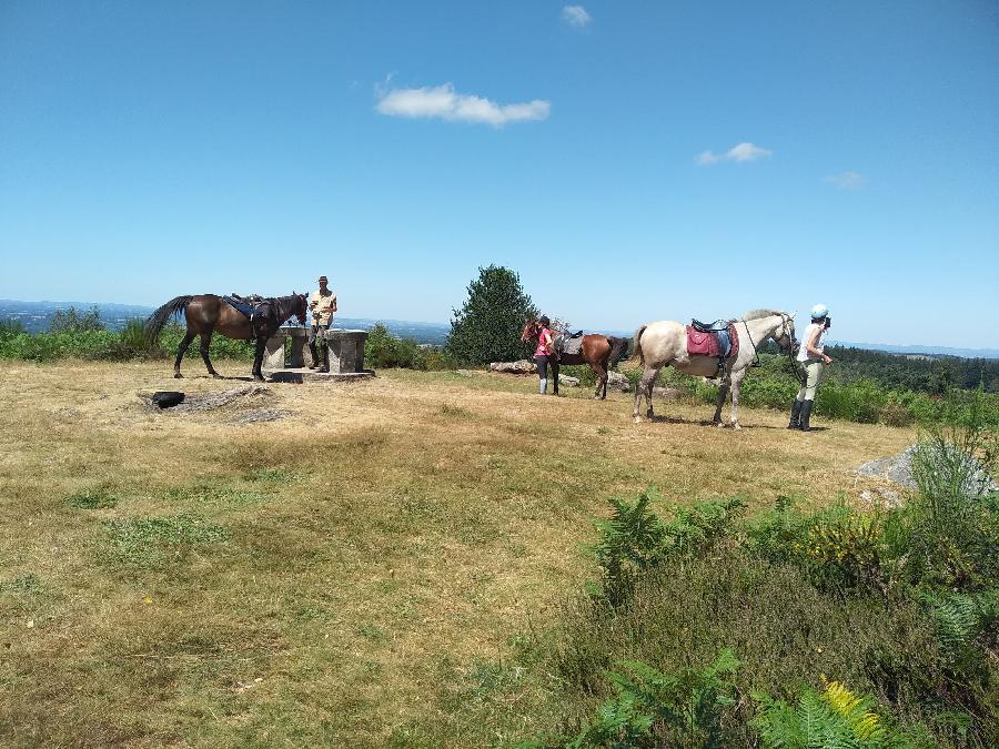 Sjour questre Haute-Vienne Limousin